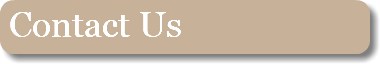 &nbsp;Contact Us